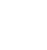 Guerrilla Bandit